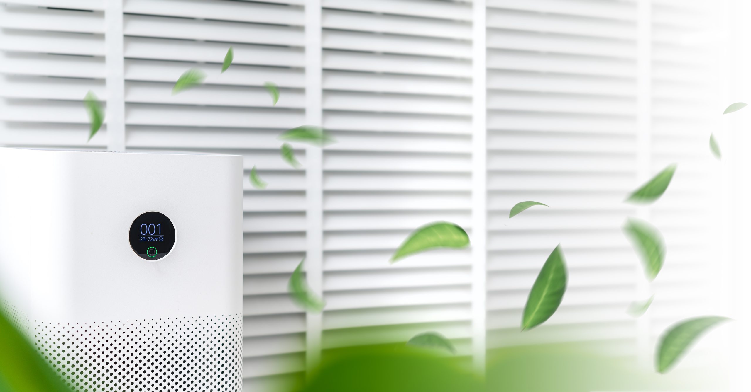 indoor-air-quality-improvements-using-natural-materials